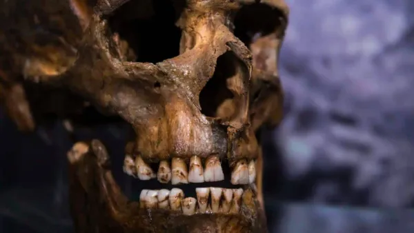 3 Lakh Year Old Chinese Dental Fossils 